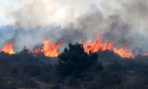 Çiftçi anızla birlikte geleceğini de yakıyor