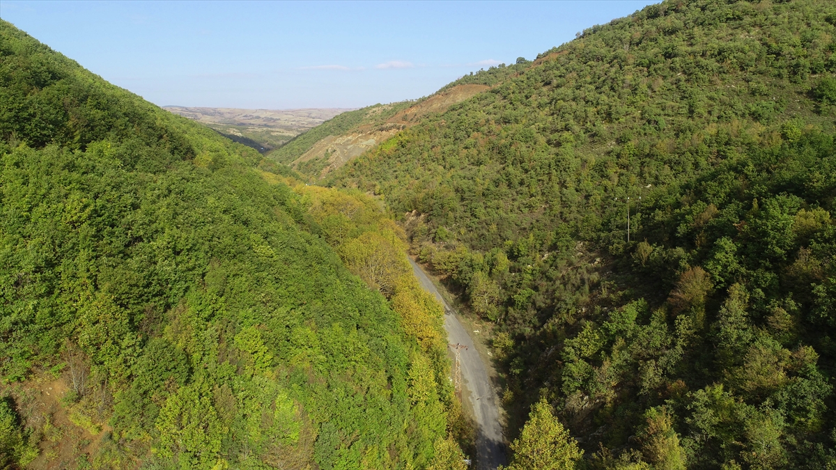 Hacıoğlu, ormanların sonbaharın gelişiyle farklı bir güzelliğe büründüğünü ifade ederek