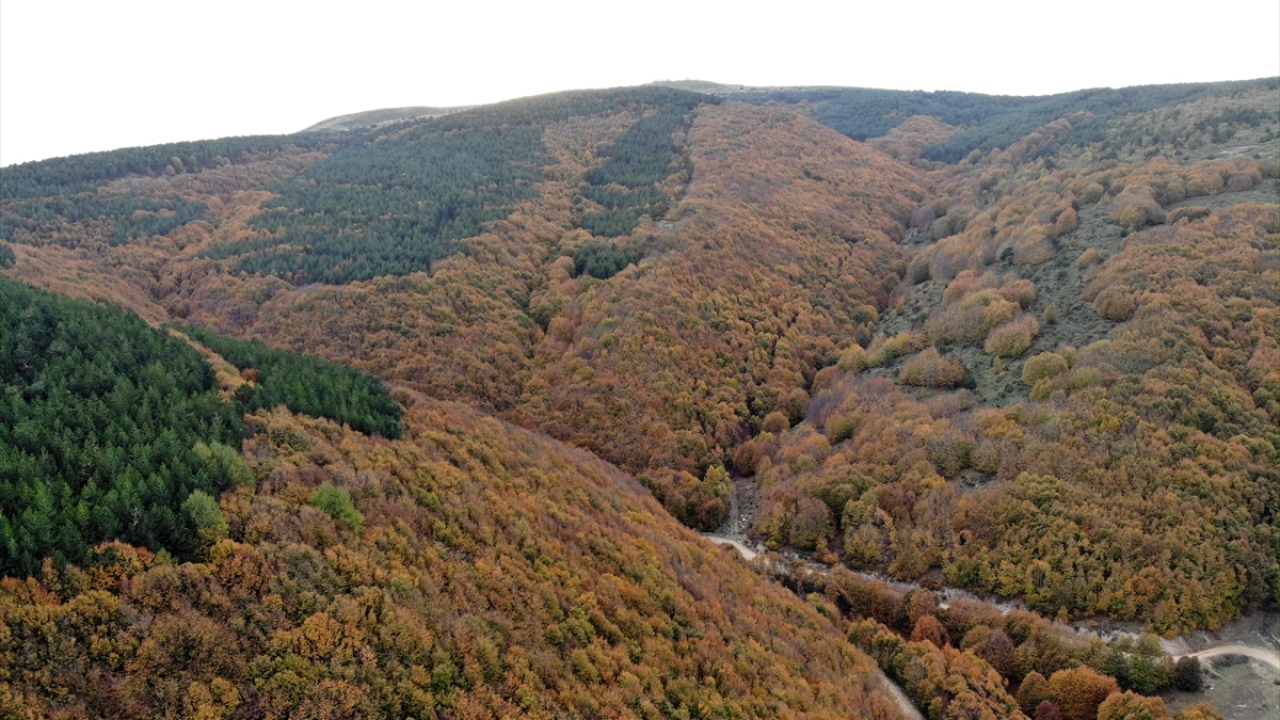 Boyalı Dağı, sonbaharda özellikle amatör fotoğrafçılar ve doğa tutkunlarından ilgi görüyor.