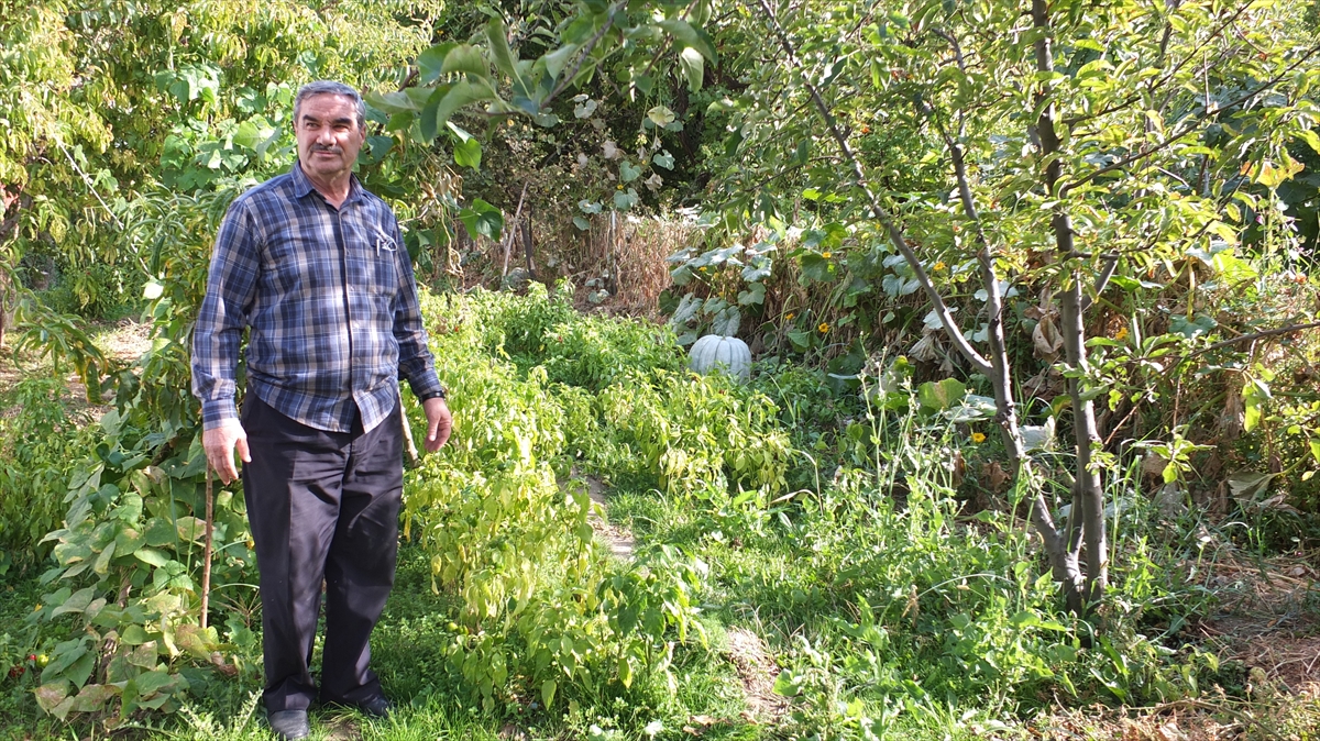 Demir, tohum istemek, kabakları görmek isteyenlerin Murat`ın bahçesini ziyaret ettiğini ifade etti.