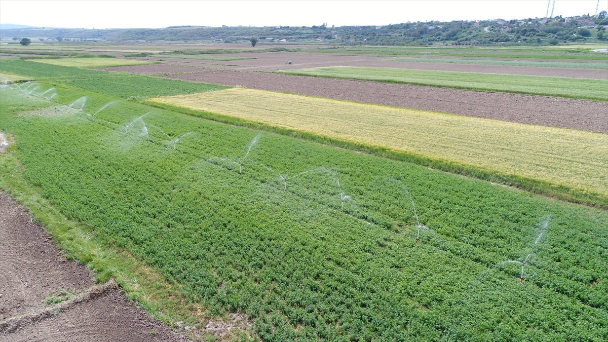 Türkiye`de suyun dörtte üçünün sulamada kullanıldığını aktaran Yıldız, bu nedenle sulama tesislerini inşa ederken en modern ve tasarrufu en yüksek yağmurlama ve damlama sistemlerini tercih ettiklerini hatırlattı.