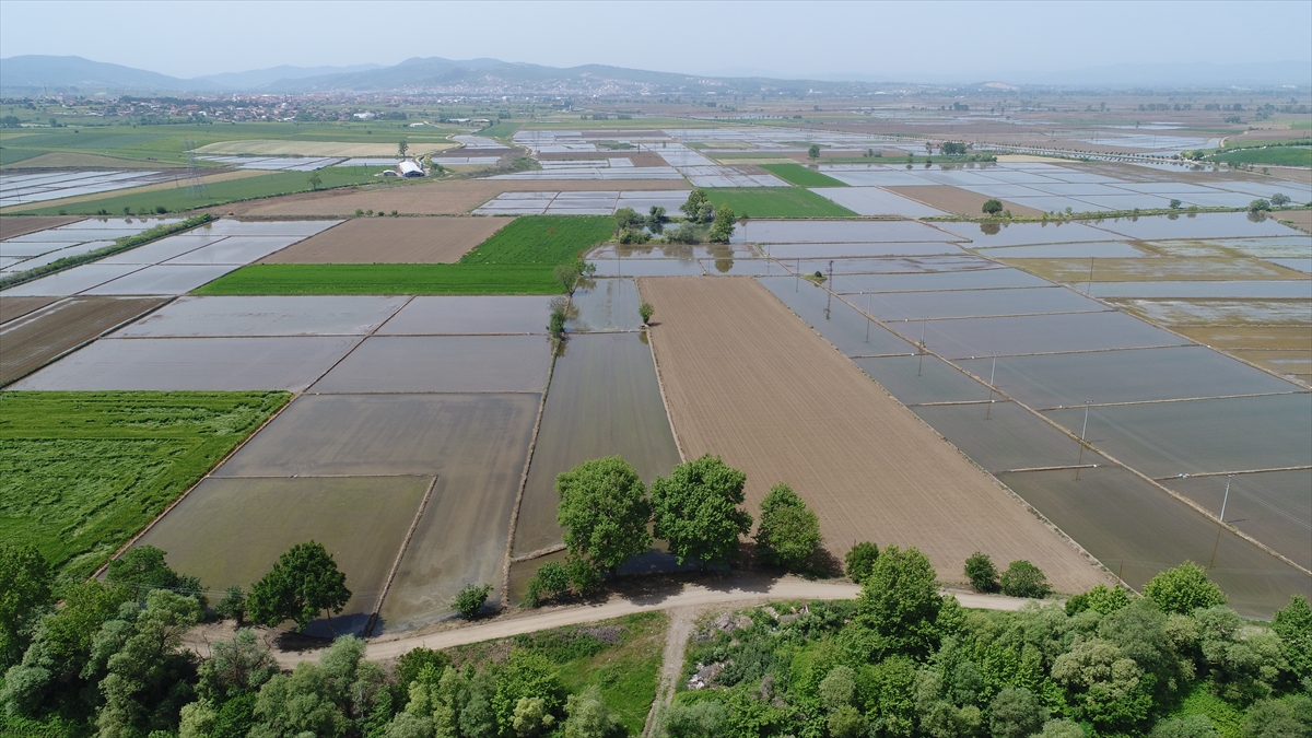 Suyu depolamanın, inşa edilen sulama tesisleriyle tarım arazilerine ulaştırmak ve bu süreçte su kayıplarını minimum seviyeye indirmenin büyük önem taşıdığına işaret eden Yıldız, şu ifadeleri kullandı: