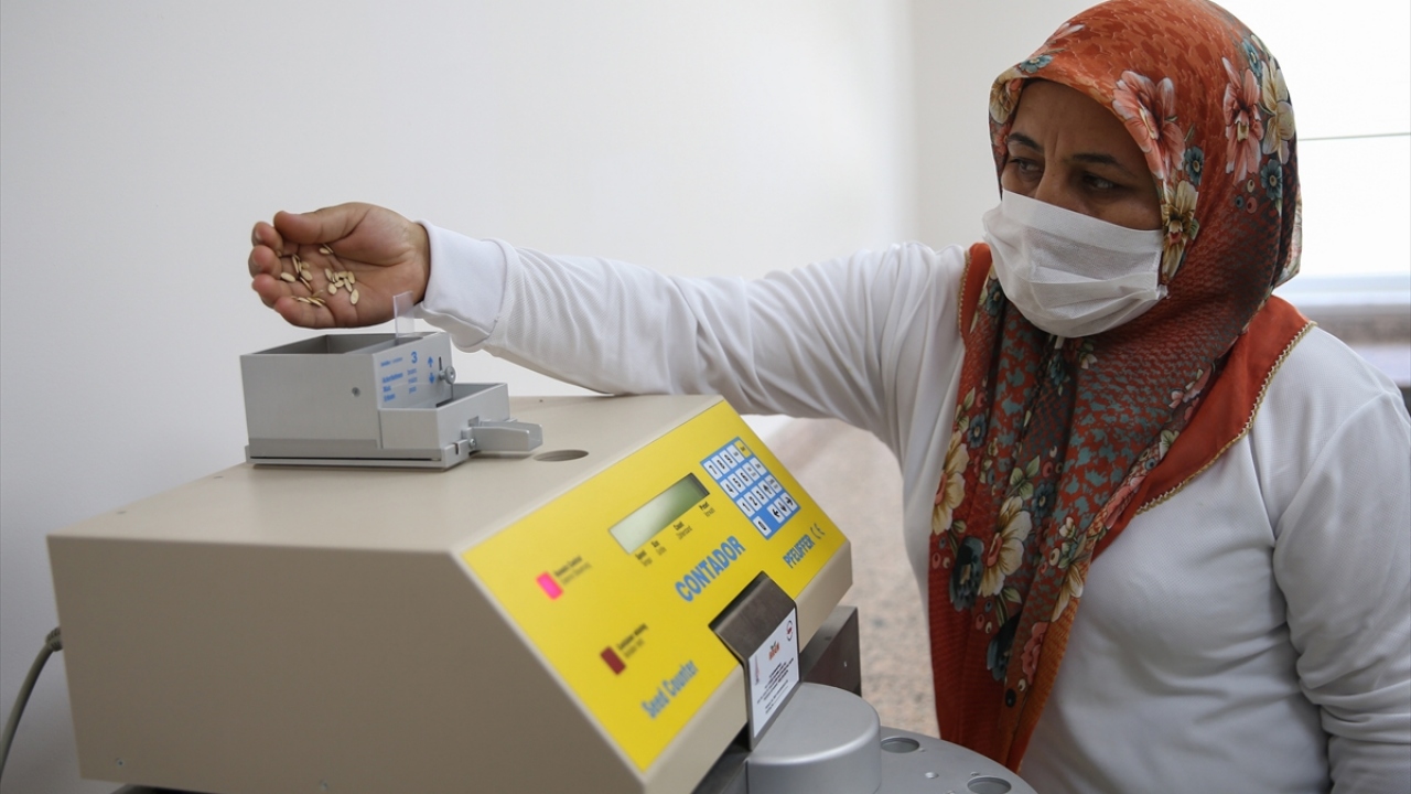 "Anne şefkatiyle yaklaşıyormuş gibi bu işleri yapıyoruz"