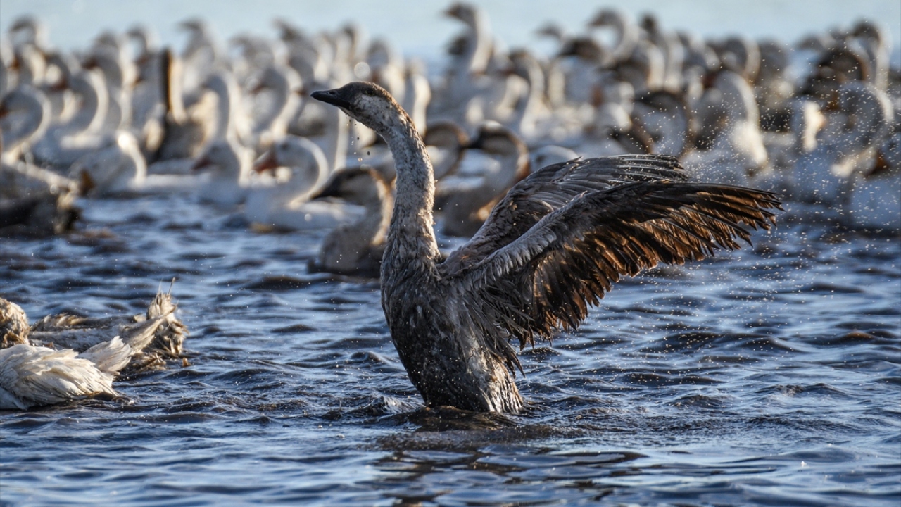 Büyük oranda aile işletmelerinde üretiliyor 