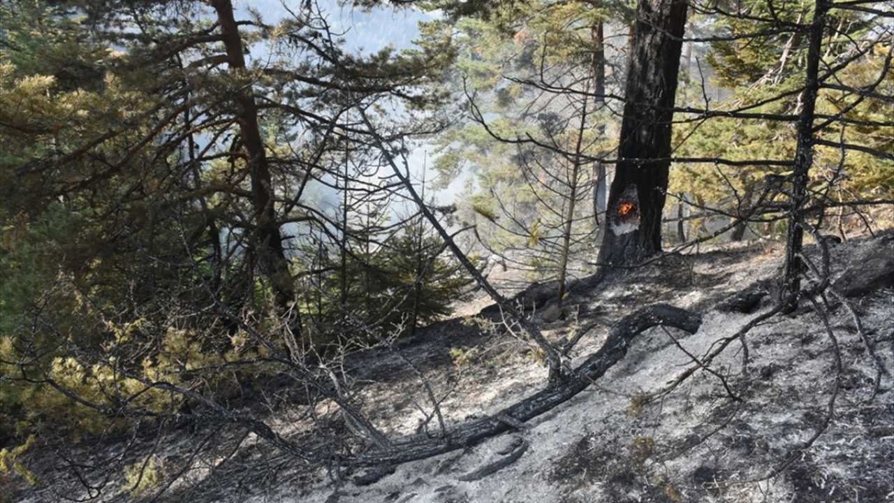 Kurtköy mevkisinde ormanlık alanda başlayan yangına, itfaiye ve Orman İşletme Müdürlüğü ekipleri müdahale etti.