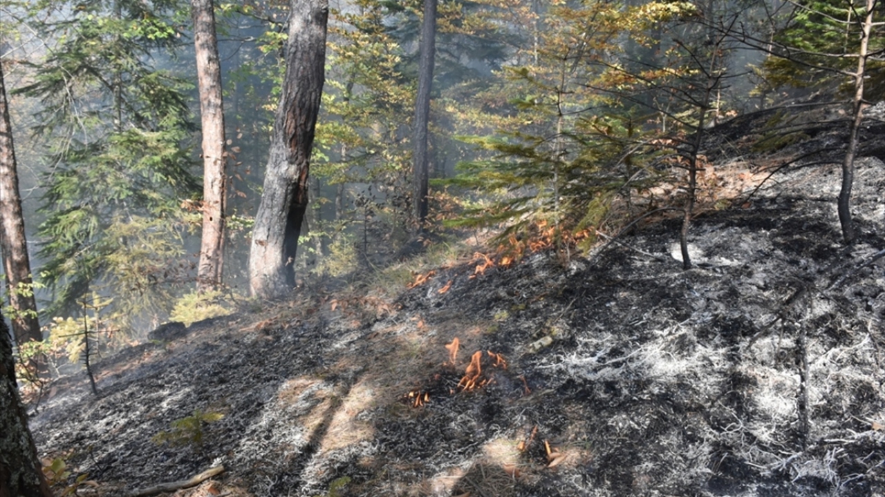 Kara yolu ulaşımının zorlukla sağlandığı bölgede çıkan yangın, ekiplerin yaklaşık üç saatlik çalışmasının ardından kontrol altına alındı.