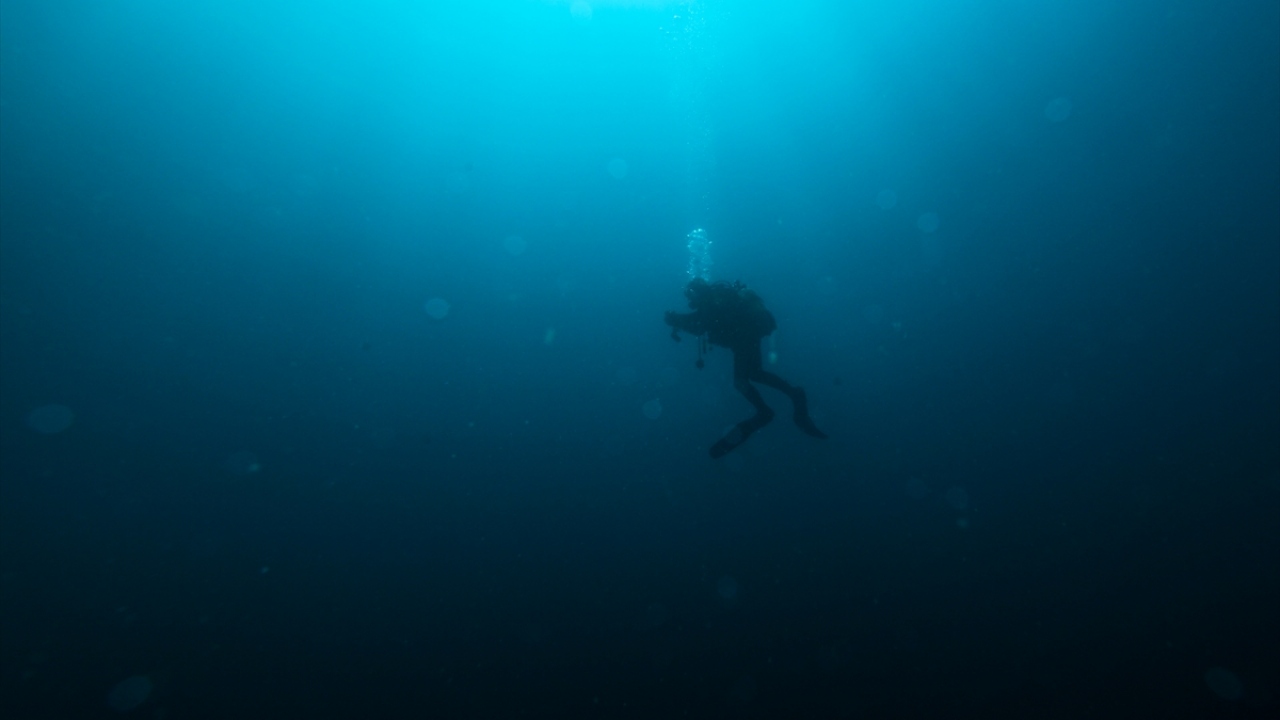 Aras, yapılan araştırmalarda 100 metre ağın yaklaşık 300 deniz canlısının yaşamını yitirmesine neden olduğunun belirlendiğini de sözlerine ekledi. 