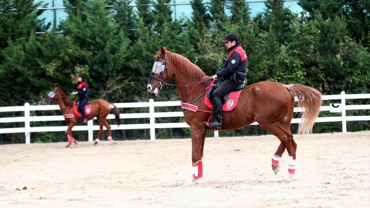 Yüksek, kadınların hayatın her alanında olduğunu ve her işi layıkıyla yaptığını sözlerine ekledi.  
