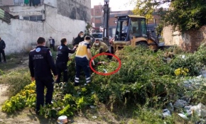 Otların arasında uyurken üzerine moloz döküldü