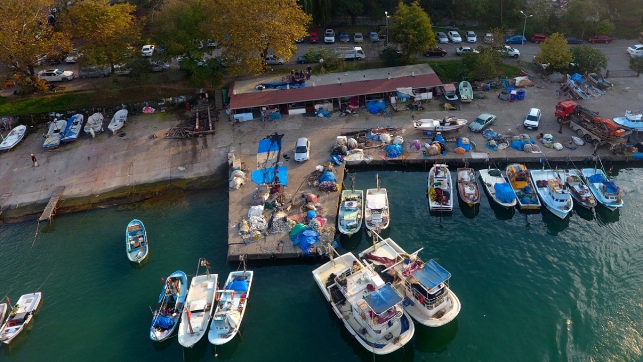 Denizde bu yıl bol miktarda hamsinin olacağını belirten balıkçılar, bereketli başlayan sezonun hamsi avcılığı ile süreceğini tahmin ediyor. 