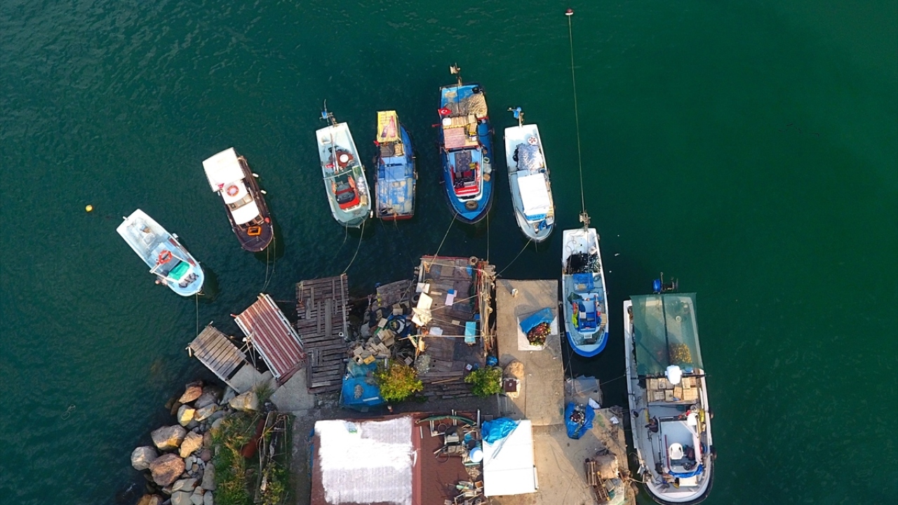 Balıkçı tezgahlarında palamudun tanesi büyüklüğüne göre 15-25, hamsinin kilogramı 20, çinekopun kilogramı 50, zargananın kilogramı 35, istavritin kilogramı 25, lüferin kilogramı 40, mezgitin kilogramı ise iriliğine göre 15-30 liradan alıcı buluyor. 