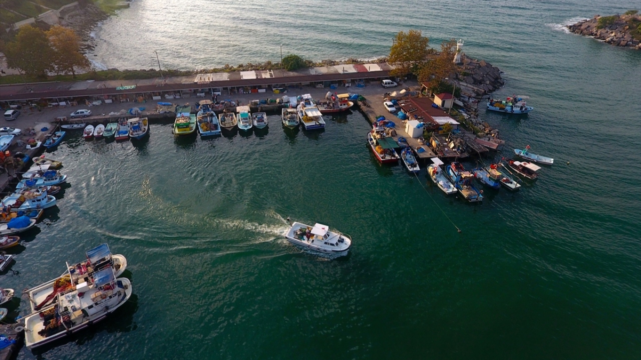 Akçakoca Su ürünleri Kooperatifi Başkanı Mustafa Karakaş, AA muhabirine, palamutta bu yıl umduklarından daha fazla bir avcılık yaptıklarını söyledi. 
