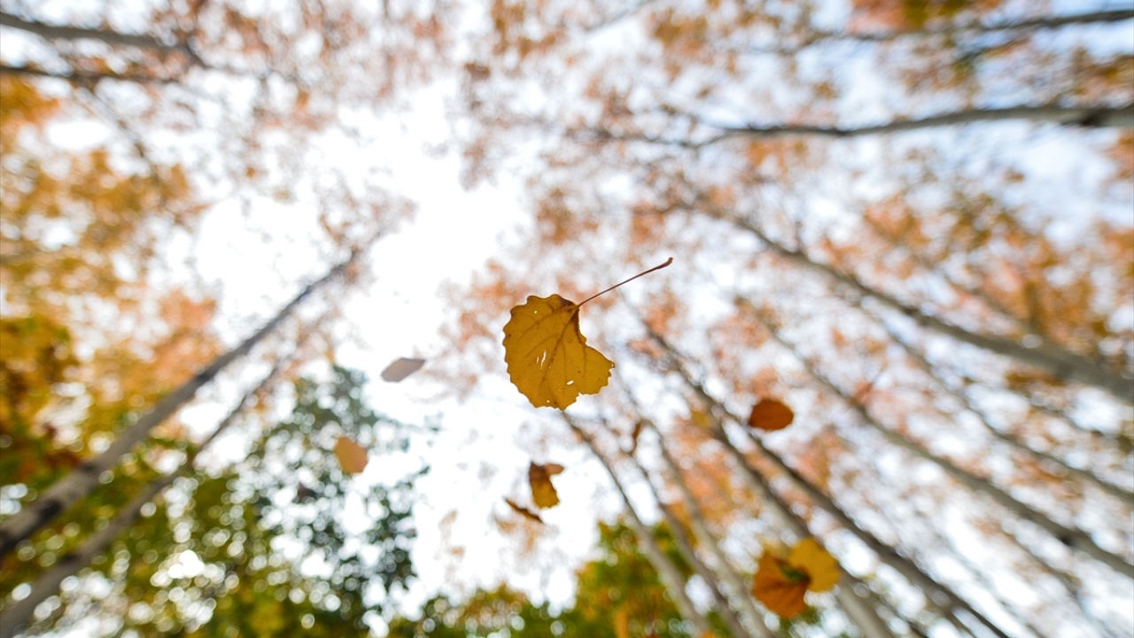 Munzur Vadisi Milli Parkı, Pertek Kalesi, Ergen Kilisesi, Munzur Gözeleri ve Pülümür ile Rabat Vadisi gibi doğal ve tarihi güzelliklerin bulunduğu Tunceli, her mevsim farklı güzelliklere ev sahipliği yapıyor.