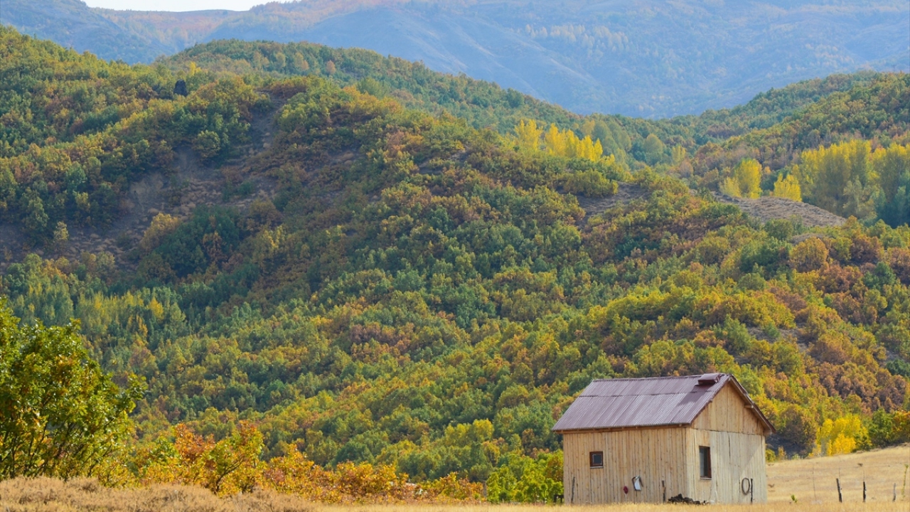 Günübirlik gezilerle çevre il ve ilçelerden bölgeye gelen doğa tutkunları, sarı ve kızılın tonlarına bürünen meşe, ceviz, kavak ve çeşitli yabani meyve ağaçları ile kaplı ormanlarda doyasıya vakit geçiriyor.