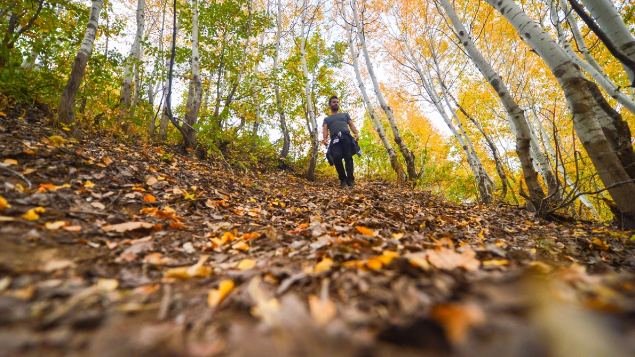 Gün boyu ormanlarda gezen ve vahşi hayvanlarla da karşılaşan ziyaretçiler, fotoğraf makinesi ya da cep telefonu kamerasıyla sonbaharın güzelliklerini kadraja alıyor.