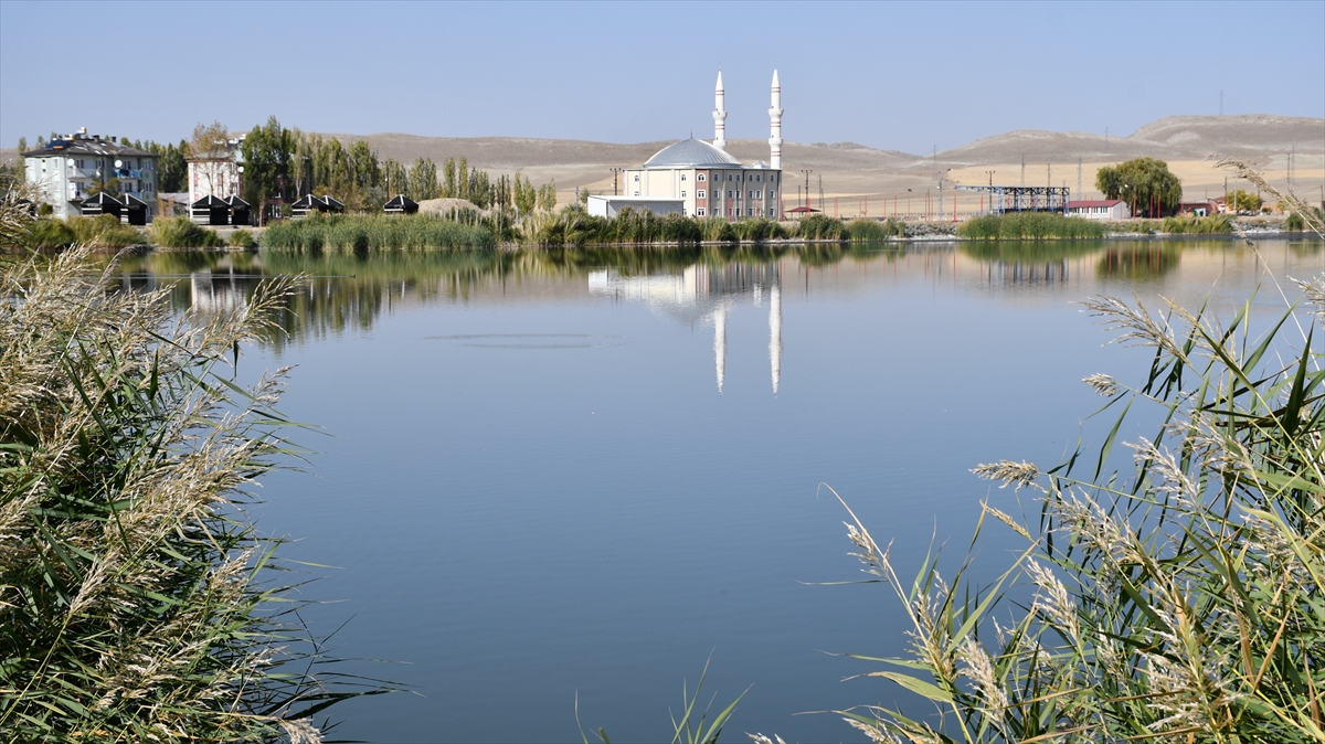 Ulaş İl Genel Meclisi üyesi Hikmet Kuruçay ise baharda bölgeye gelen göçmen kuşların yuvalarını gölün içindeki sazlık alana kurduklarını belirtti.