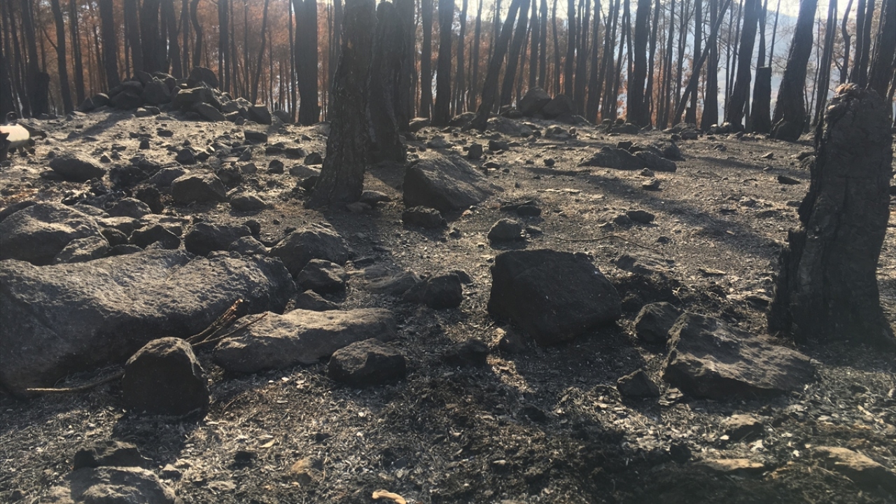 Sivil Savunma görevlilerinden Abdulkarim Şerşi yaptığı açıklamada, Türkmendağı ekibi olarak yangınlara karşı 24 saat nöbet tuttuklarını söyledi.