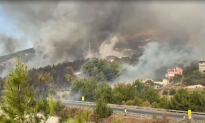 İskenderun'da peş peşe orman yangınları