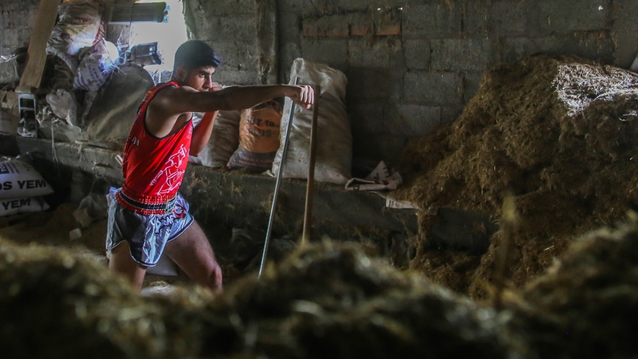 Adana`nın Yüreğir ilçesinde 5 yıl önce tanıştığı muaythai sporuna kendisini adayan 19 yaşındaki Mehmet Ali Meriç, Güven Gücü Spor Kulübü adına katıldığı ulusal ve uluslararası organizasyonlarda dereceler elde etti.