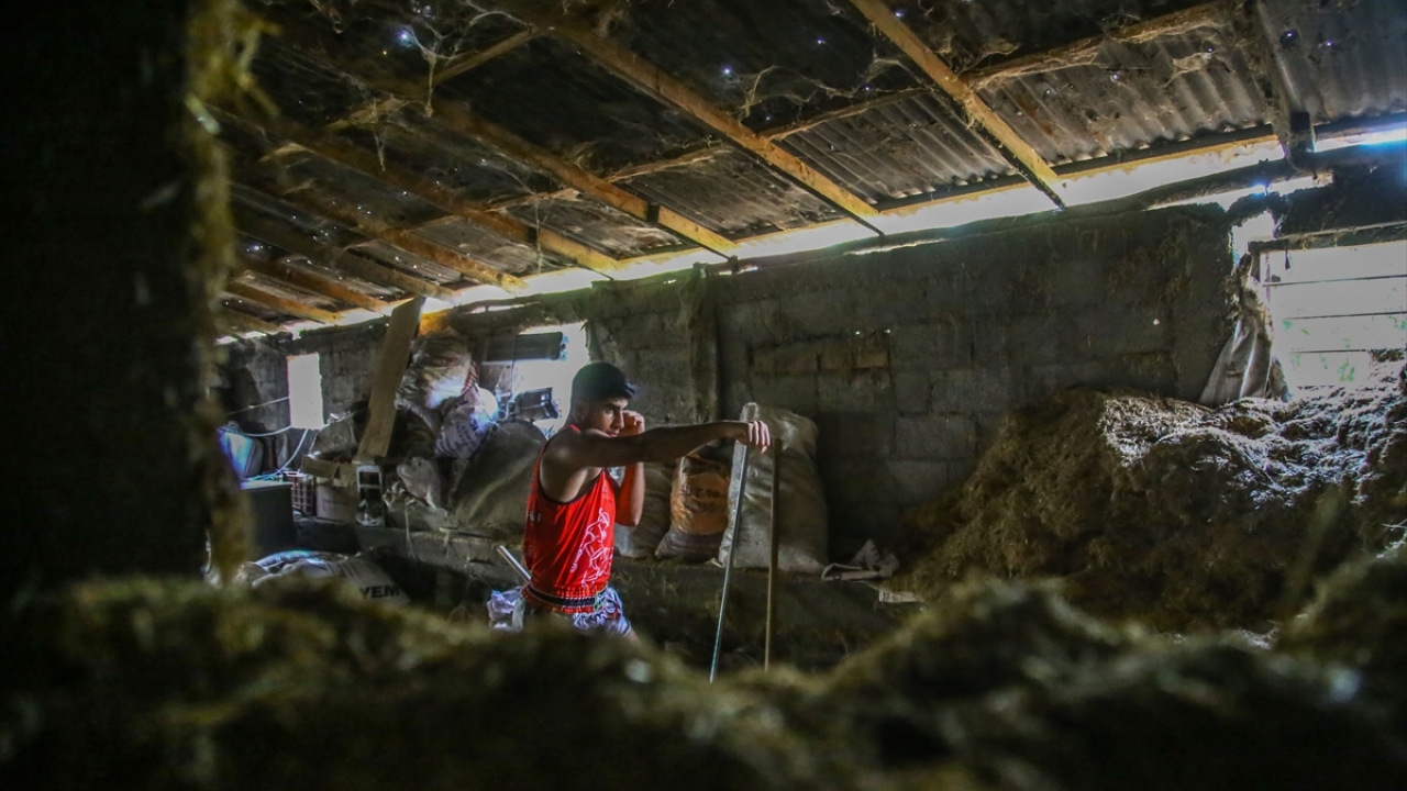 Antalya`da geçen yıl düzenlenen Uluslararası Muaythai Şampiyonası`nda büyükler 75 kilo kategorisinde Avrupa şampiyonluğuna ulaşan genç sporcu, yeteneğiyle otoritelerin dikkatini çekiyor.