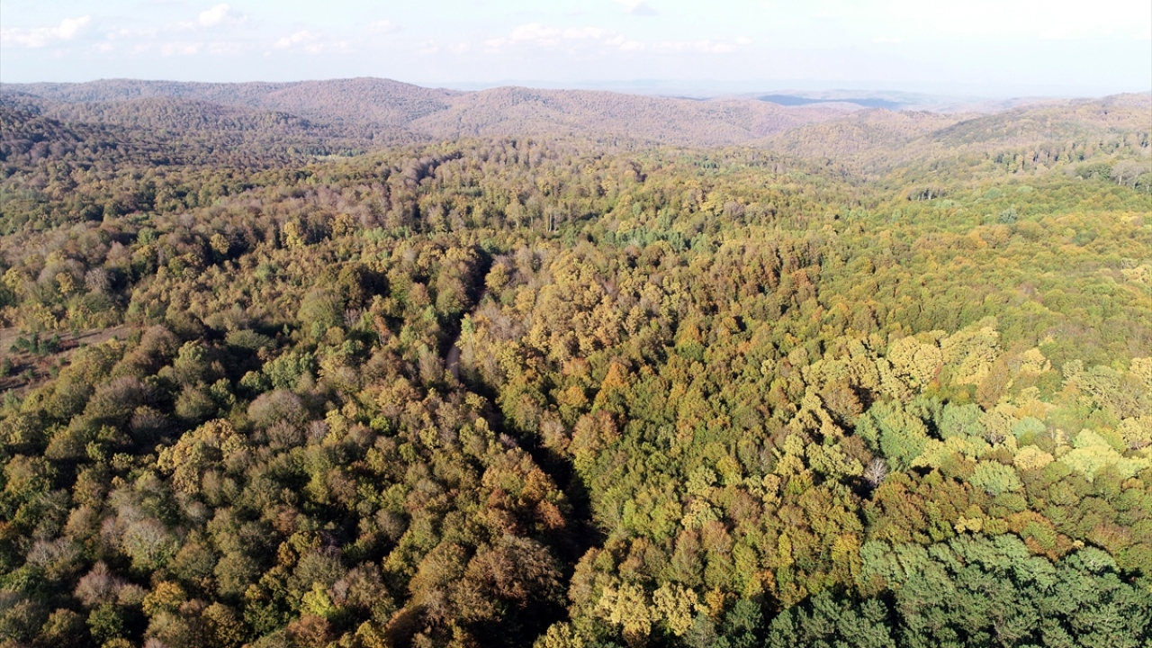Renk cümbüşü sunan 1031 metre yüksekliğindeki Yıldız Dağları seyrine doyulmayan manzaralar oluşturuyor.