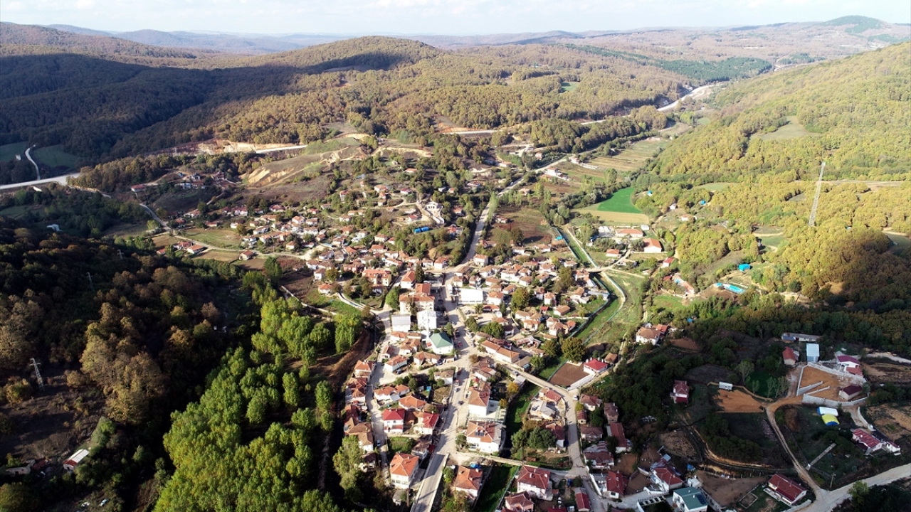 Orman içi patika yolların yanı sıra derelere dökülen sarı yapraklar ile yeşil tonlarını her mevsim koruyan bitkiler, renkten renge geçiş yaparak ziyaretçilerine dinginlik veriyor.