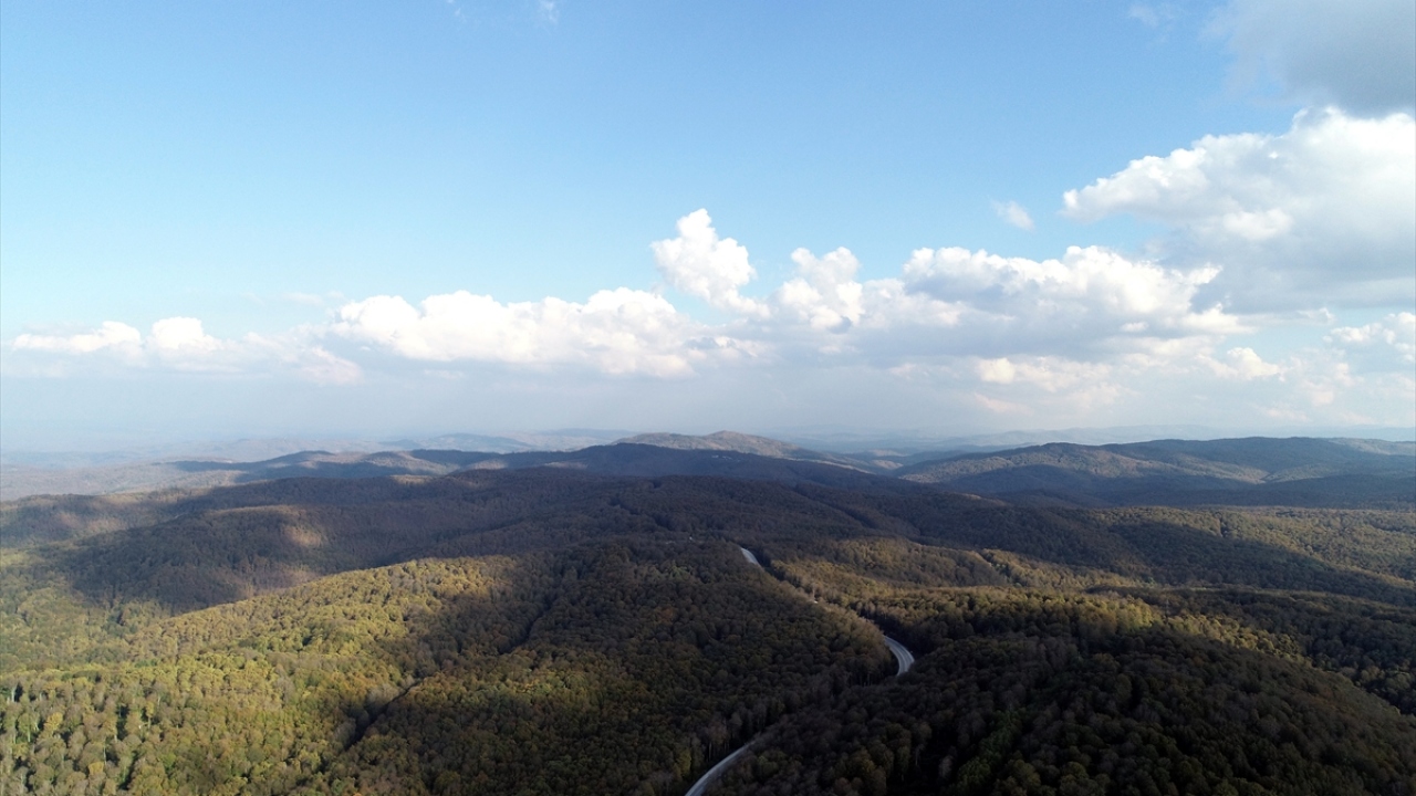 Sonbaharın güzelliğinde huzur bulmak isteyenler bölgede çadır kurup kamp yapıyor.