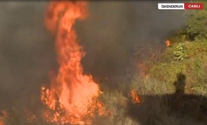İskenderun'daki yangınında canlı yayında zor anlar
