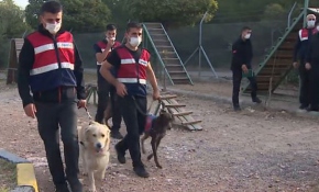 Jandarmanın gururu hassas burunlar