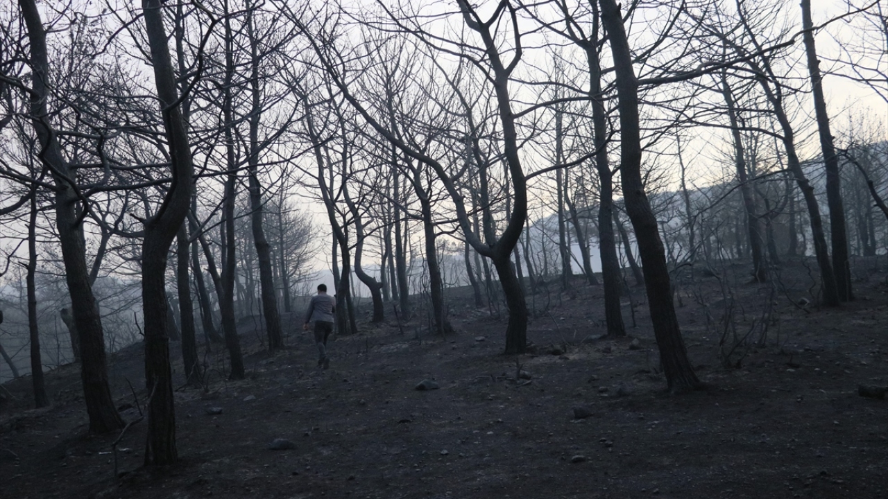 Sarıseki Mahallesi`nde dün başlayan ve rüzgarın etkisiyle yayılan orman yangınını söndürme çalışmalarına günün ilk ışıklarıyla yeniden başlandı.
