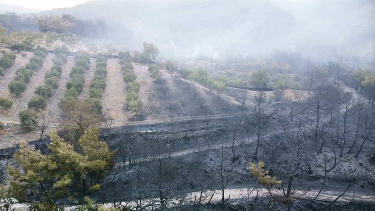 Yangın nedeniyle tedbir amaçlı trafiğe kapanan Payas-İskenderun Otoyolu yeniden ulaşıma açıldı.