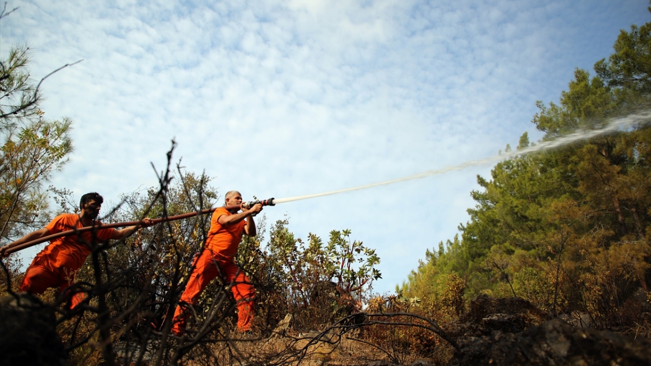 Uçarı Mahallesi kırsalındaki kızılçam ormanında çıkan ve dün kontrol altına alınan yangında, ekipler soğutma çalışmalarını gece boyunca sürdürdü. 