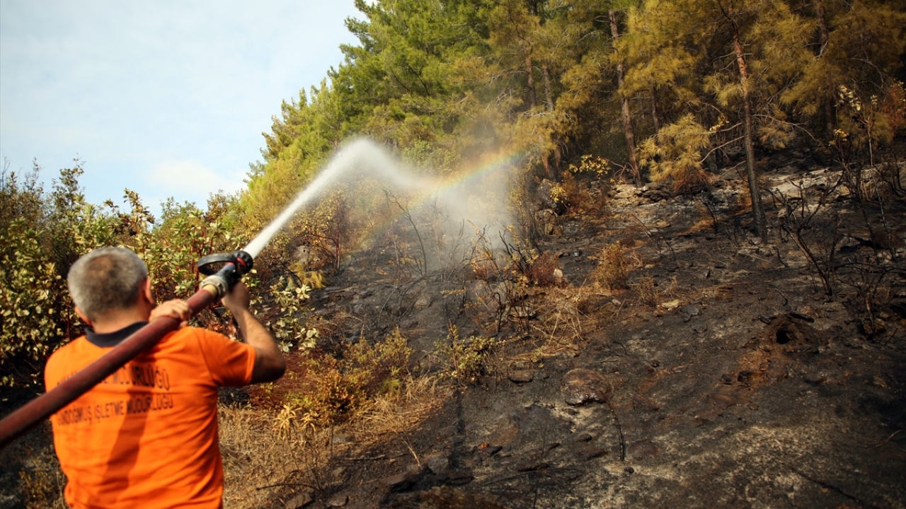 Bu arada, yangın nedeniyle kontrollü sağlanan Mersin-Antalya kara yolu yeniden ulaşıma açıldı. 