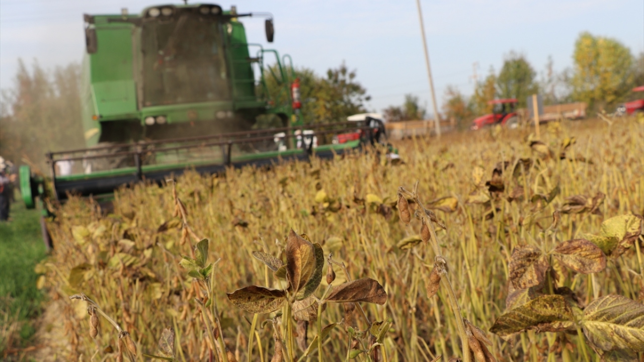 Gelecek sene de ücretsiz tohum dağıtacaklarını ifade eden Murat, soyanın ekimini git gide yaygınlaştırarak bu alanda yurt dışına bağımlılığı azaltmak istediklerini bildirdi.