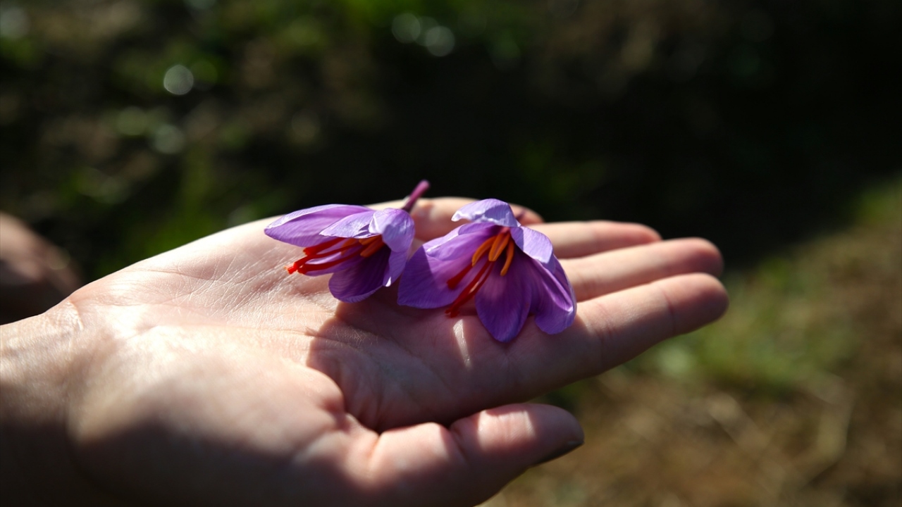 Gündoğdu, şöyle devam etti: