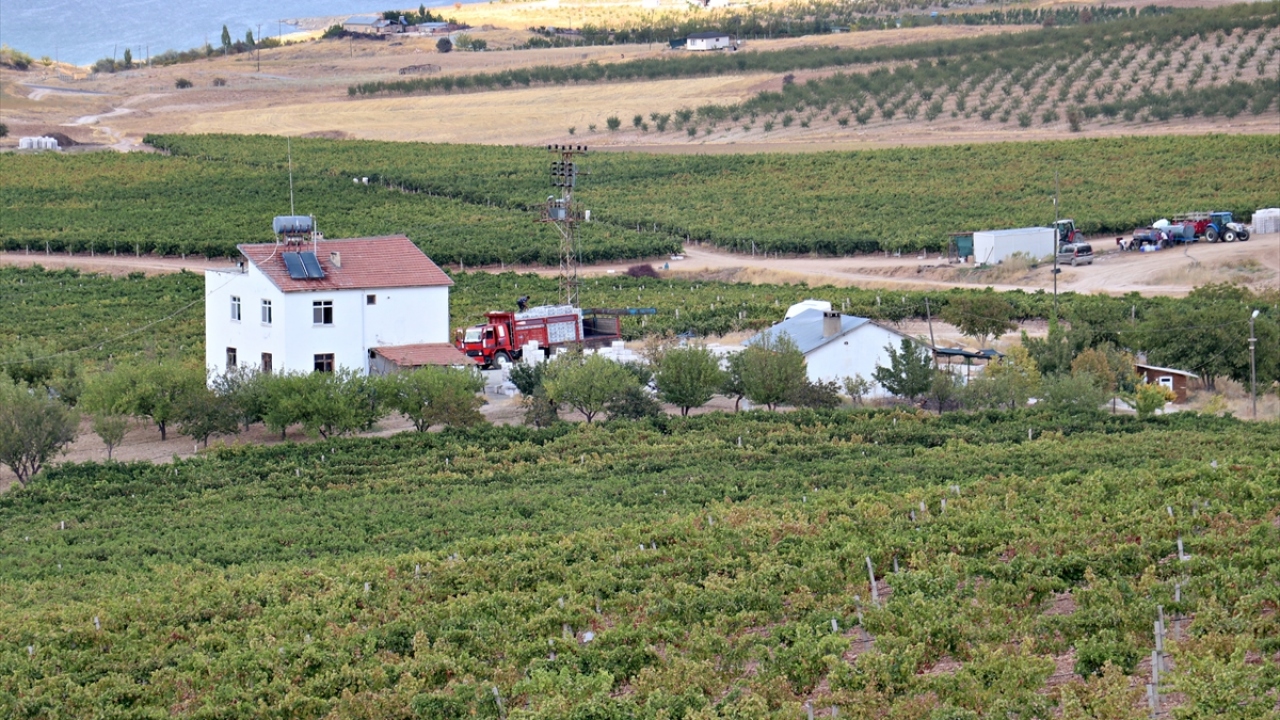 Baran, üzüm üretimini daha geniş bir alanda sürdürmek ve daha fazla istihdam sağlamayı hedeflerken 2010 yılında vefat etti.