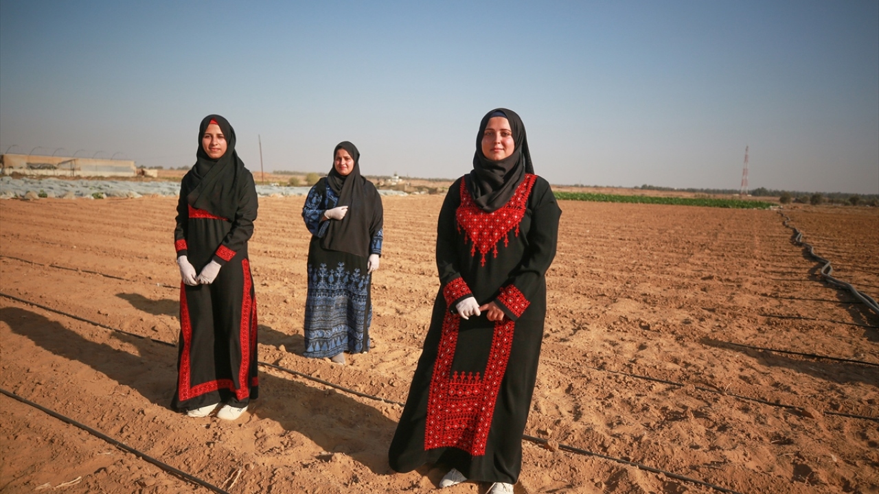 Han Yunus kentine bağlı Huzaa beldesinde yaşayan kadınlar, İsrail sınırına 500 metre uzaklıkta yer alan ekime elverişli geniş arazilerin bulunduğu beldede kiraladıkları araziyle kendileri için küçük ölçekli bir proje geliştirdi.