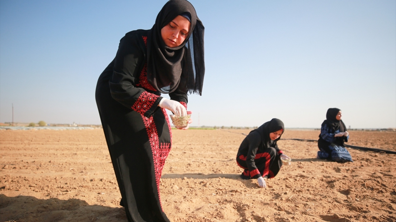 Üniversitenin Temel Eğitim Bölümü`nden mezun olan Esil en-Neccar, yaptığı açıklamada, tarıma yönelme fikrinin, işsizliğe çözüm bulma ve içinde bulundukları ekonomik şartları iyileştirme düşüncesinden doğduğunu söyledi. 