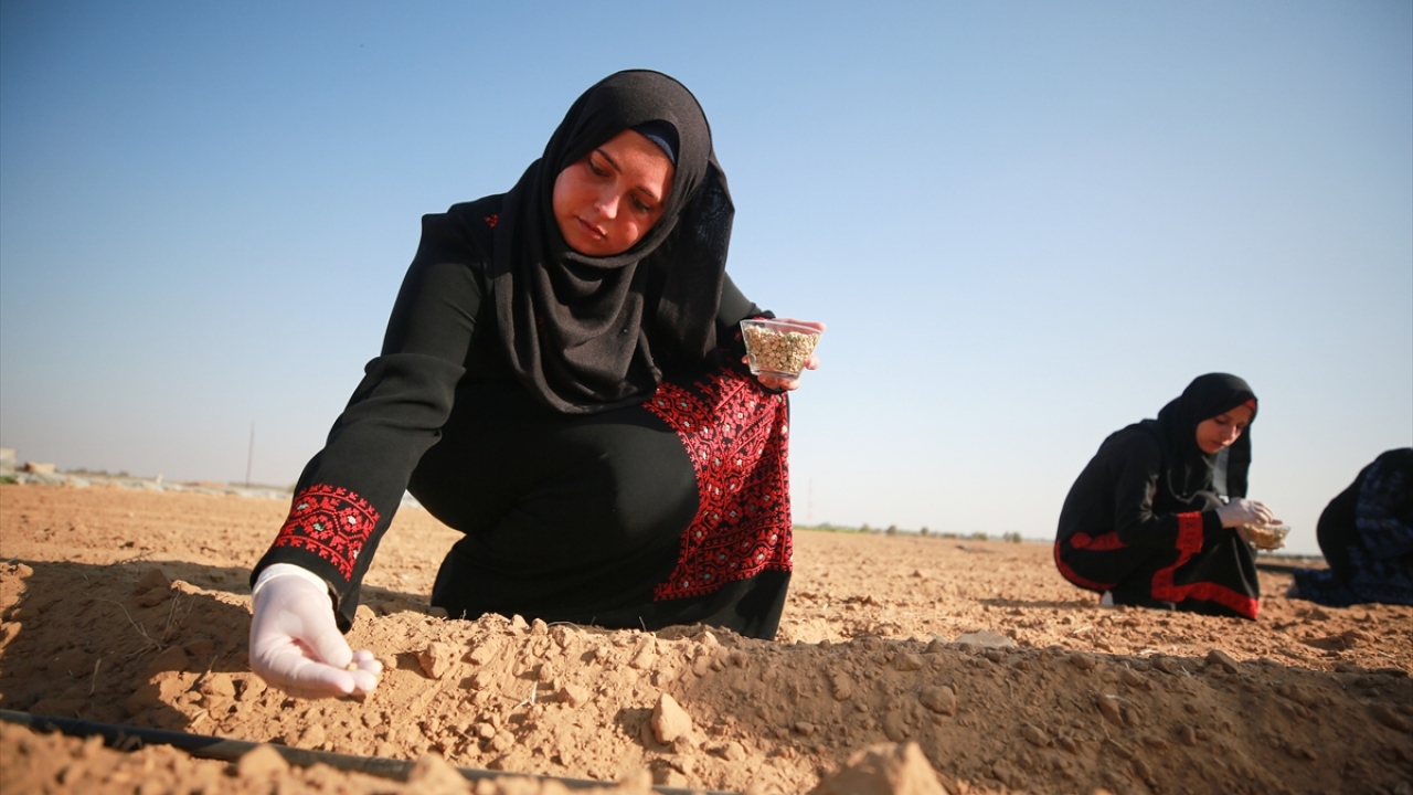 Mezun olduğu alanda 5 yıldan beri iş aradığını ancak bulamadığını belirten Neccar, 2 arkadaşıyla birlikte bölgenin temel geçim kaynağı olan tarıma yöneldiklerini kaydetti.  
