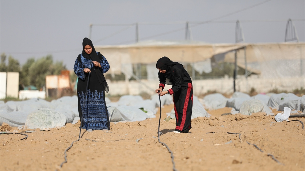 Kiraladıkları araziye su şebekesi kurmak için çalıştıkları sırada İsrail askerlerinin kendilerine ateş açtığını anlatan Neccar, "Çok korktuk ama ekmek parası için çalışmaya devam etmek zorunda kaldık." dedi.