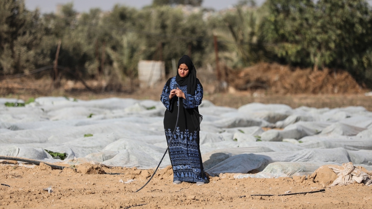 Neccar, İsrail`in zehirli böcek ilaçları sıkarak mahsullere zarar vermesinden de korktuklarını söyledi.