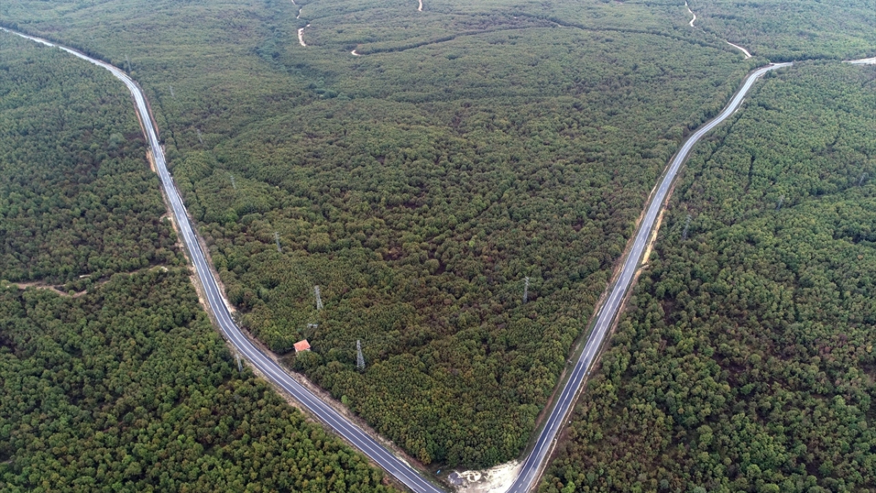 Karadeniz ikliminin de hakim olduğu ilçede fotoğrafçılar yağlı boya tabloları aratmayan eşsiz manzarayı fotoğraf kareleriyle ölümsüzleştiriyor.