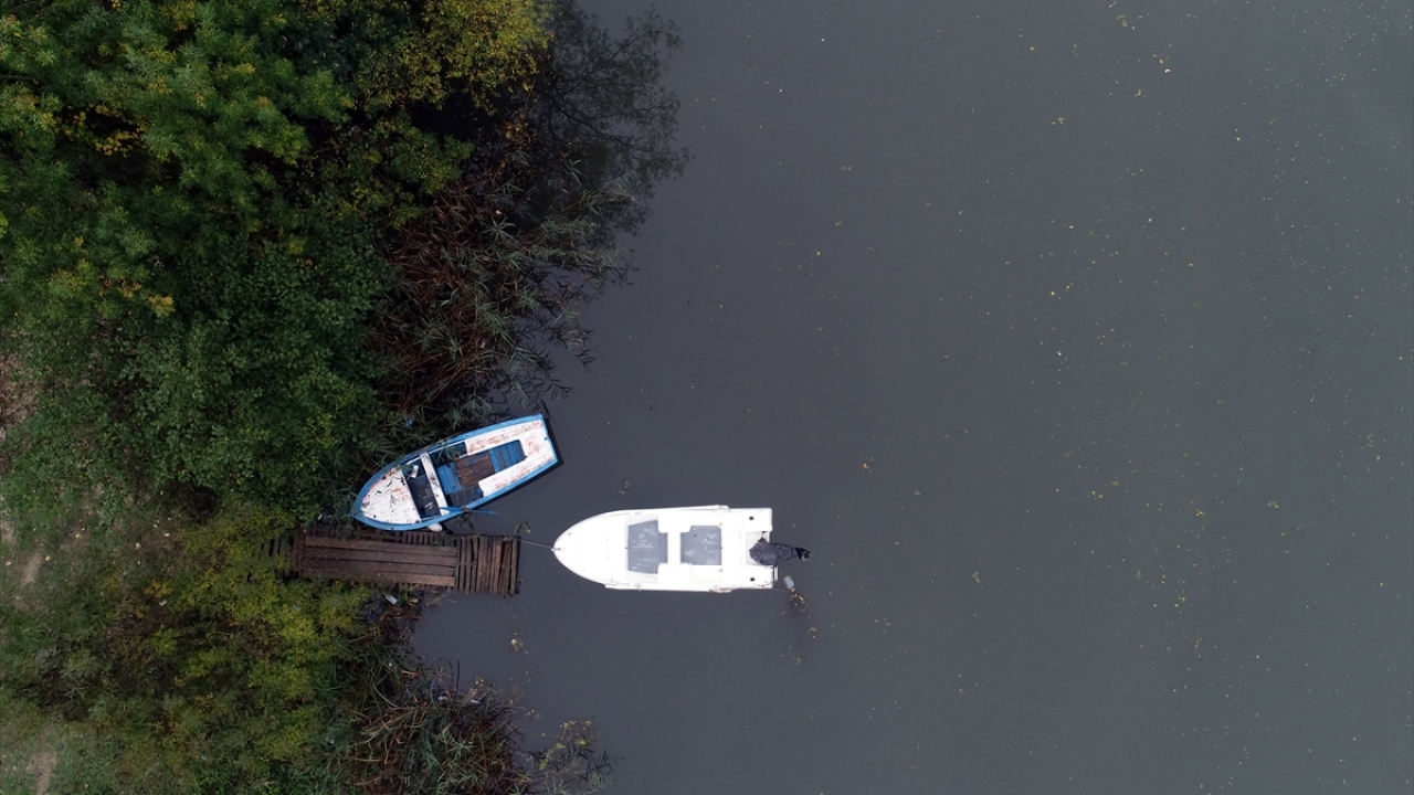 Bölgeye gelen yerli ve yabancı turistler yağışların etkisiyle adeta gürleyen dereleri ve kuş sesleri ile ormanların derinliklerindeki eşsiz manzaranın keyfini çıkarıyor.