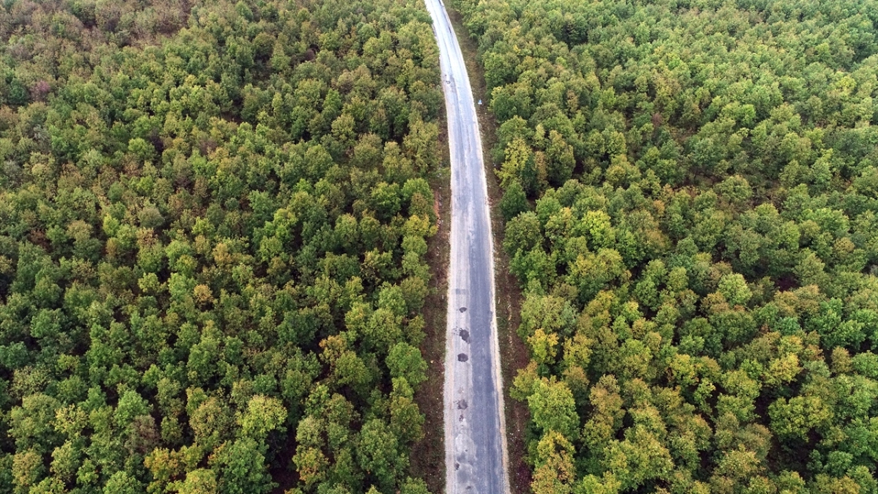 Orman içi patika yolların yanı sıra derelere dökülen sarı yapraklar ile yeşil tonlarını her mevsim koruyan bitkiler, renkten renge geçiş yaparak ziyaretçilerine dinginlik veriyor.