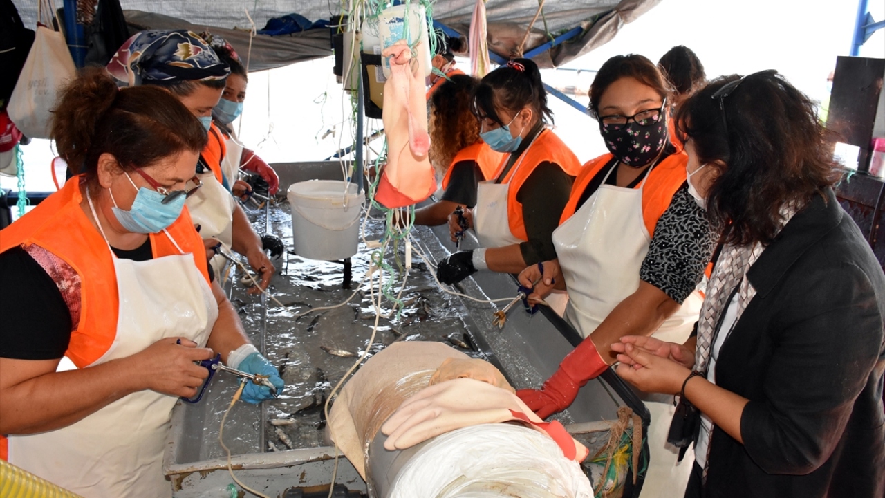 "İhracat tüketim bilinciyle doğru orantılı arttı"