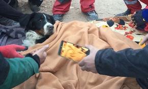 Gizem, Ares'in kurtarıldığını TRT Haber'den öğrendi