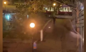 Viyana'da sinagog yakınlarında terör saldırısı