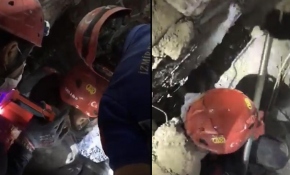 102 saat sonra enkazdan bir kedi daha kurtarıldı