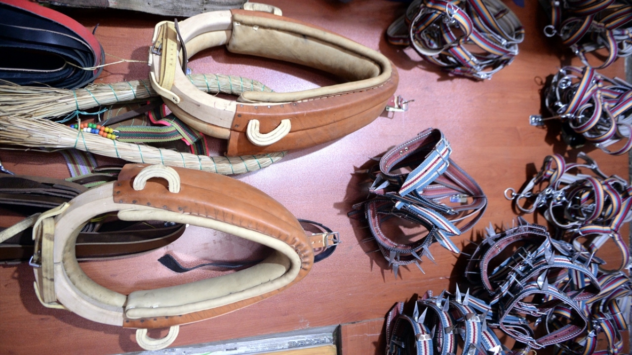 Teknolojinin gelişmesi ve tarım aletlerinin yaygınlaşmasıyla, daha önce tarım ve hayvancılıktaki bazı işlerin yapılmasında kullanılan at arabaları da adeta kaybolmaya yüz tuttu.