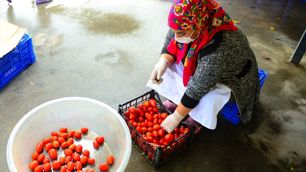 Domatesten salça ve turşu da üreten yöredeki kadınlarına ekmek kapısı haline gelen işletmede üretilen ürünlerden en dikkat çekicisi ise domates reçeli. 